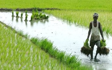 Consumer Price Index for Agricultural Labourers eased