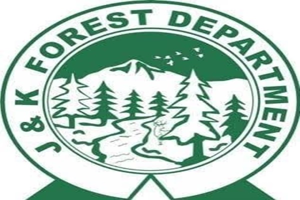 J&K Forest Dept to plant 1.5 crore saplings by March end