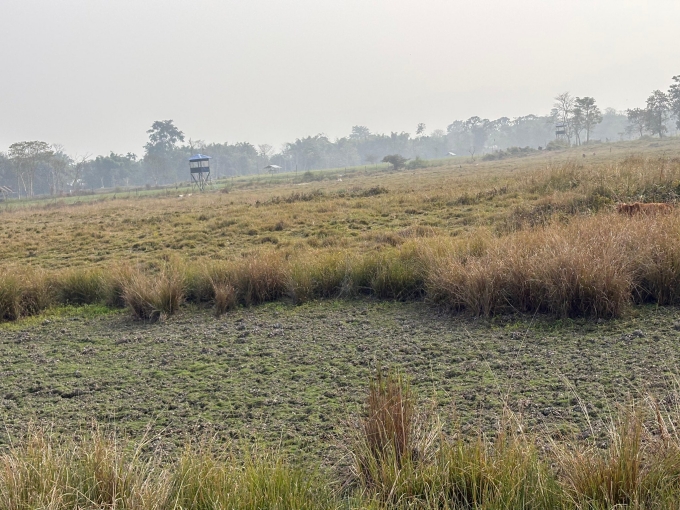 কাজিৰঙা ৰাষ্ট্ৰীয় উদ্যানত চলিত বৰ্ষত বাঘ নিৰীক্ষণ কৰিবলৈ কেমেৰা সংস্থাপনৰ কাম আৰম্ভ