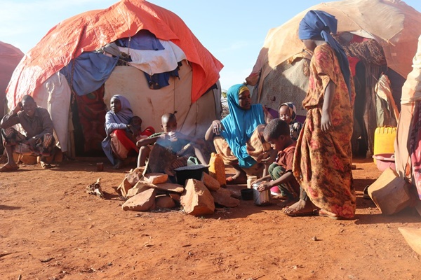 FAO Launches $95M Climate Resilient Agriculture Project in Somalia