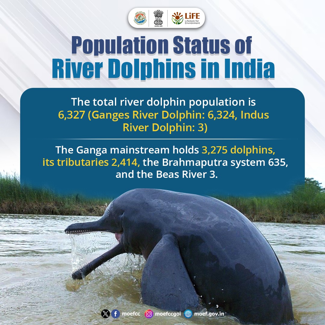 India’s first-ever comprehensive river dolphin survey estimated presence of 6,327 river dolphins across the country