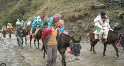 इक्वाइन इंफ्लूएंजा के चलते केदारनाथ यात्रा के लिए घोड़ा-खच्चरों के पंजीकरण दस दिन के लिए स्थगित