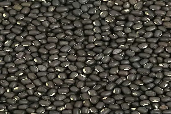 Govt extends duty-free import of Urad for 1 year to stabilize prices