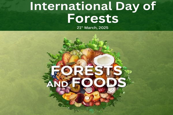 International Day of Forests being celebrated with theme ‘Forests & Food’