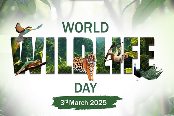 World Wildlife Day being observed to celebrate wild animals, plants