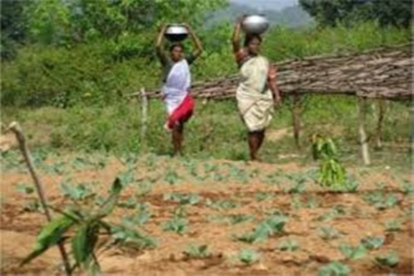 Maharashtra: More than four thousand acres fallow land to be given to farmers