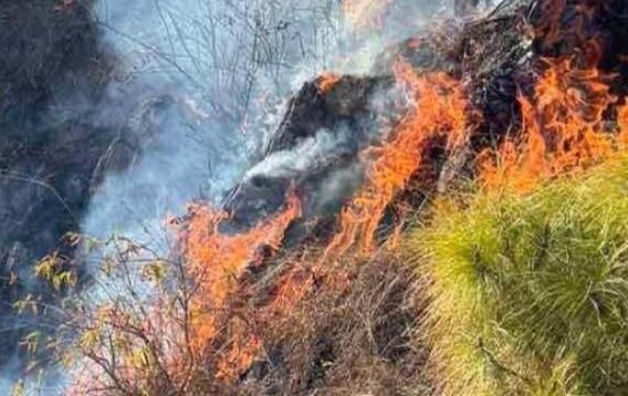 Nepal: Fire destroys four community forests in Lumbini Province