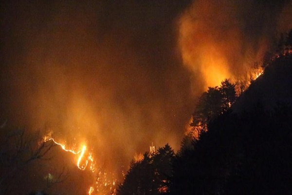 दक्षिण कोरियात जंगलात लागलेल्या आगीमुळे अंतर्गत मंत्रालय भागात आपत्ती घोषित