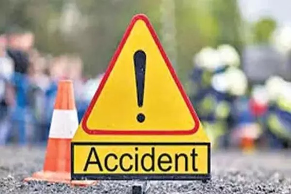 Andhra: 6 people, including 5 medical students, die in road accident in Nellore district