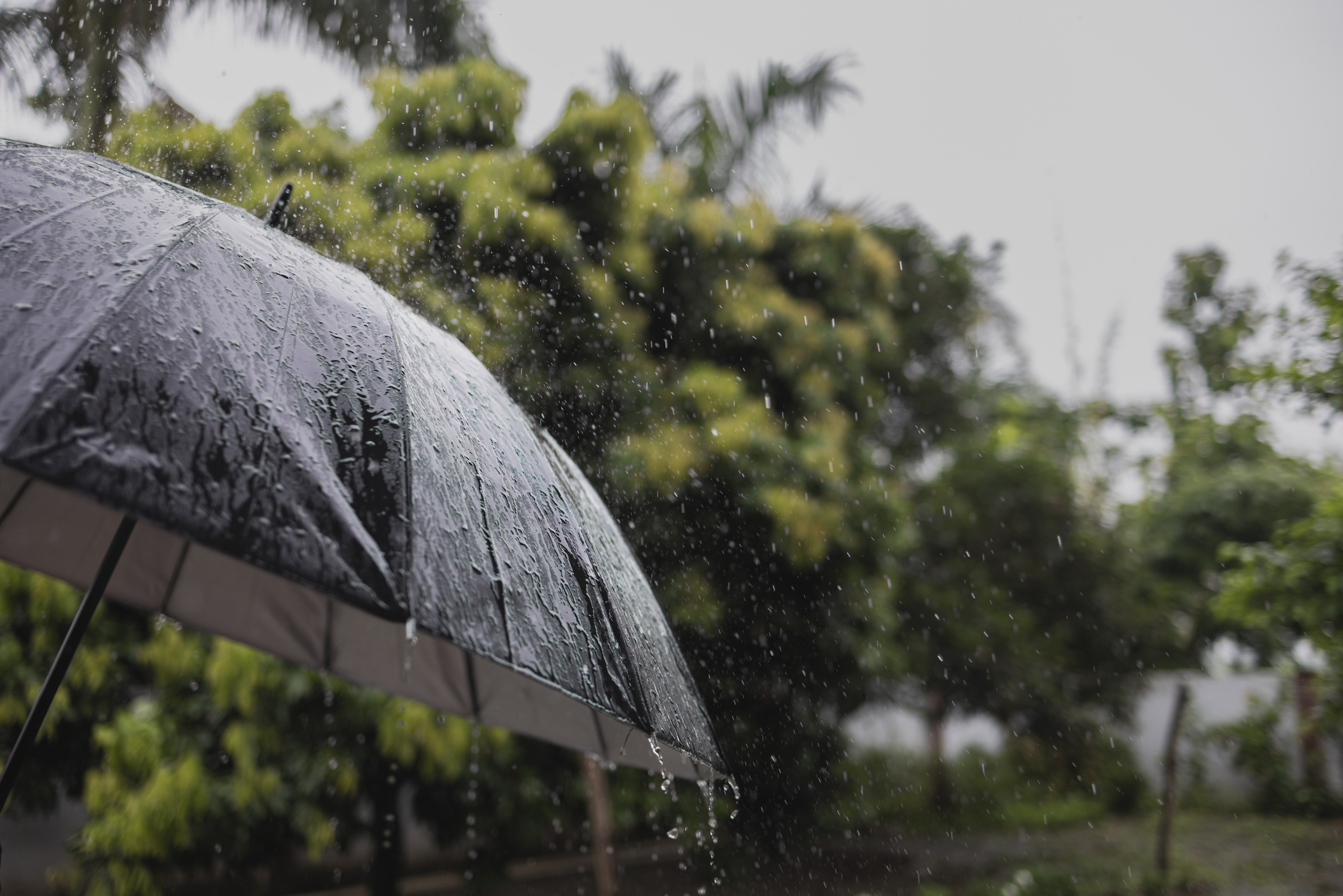 IMD issues red alert for extremely heavy rainfall in Kerela and Coastal Karnataka