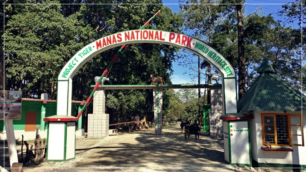 মানস ৰাষ্ট্ৰীয় উদ্যানত হাতীৰ চোৰাং চিকাৰৰ সৈতে জড়িত ৩ জন লোকক চিৰাং আৰক্ষীয়ে আটক কৰিছে