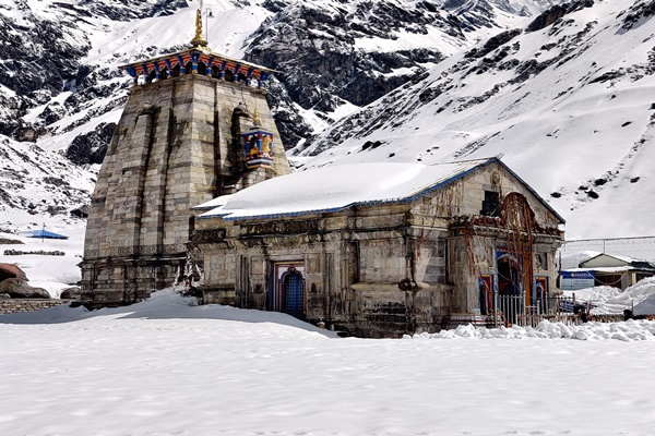 Horse, mule services resume on Kedarnath trek after Equine Influenza scare