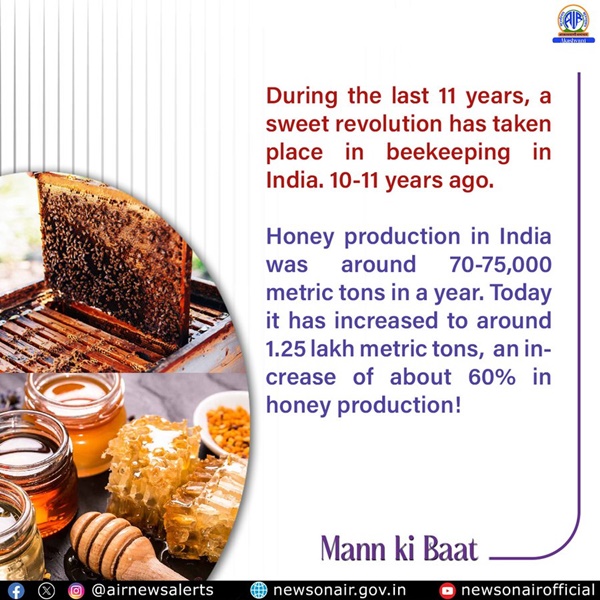 PM Modi says India among world’s leading honey-producing countries