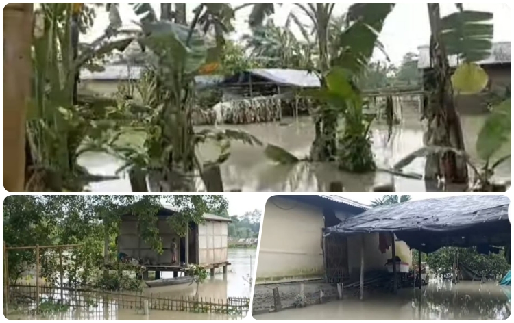 সাম্প্ৰতিক বানত ৰাজ্যৰ ২১ খন জিলাৰ ৫ লাখৰো অধিক লোক ক্ষতিগ্ৰস্ত