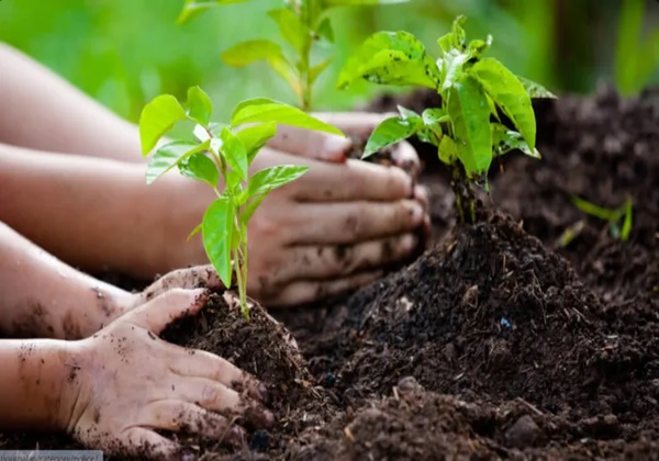 Gujarat: Commitment turns into community action by planting sapplings through people’s participation