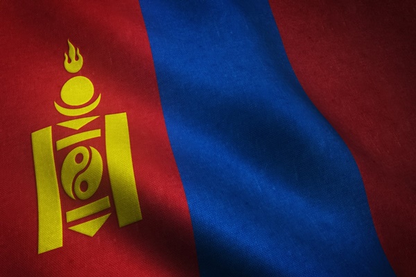 Mongolia’s confirmed measles cases exceeds 10,000