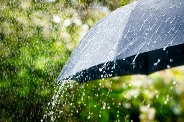 Monsoon advances across Gujarat; 15 dams on high alert