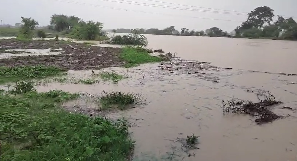 विदर्भात मुसळधार पावसामुळे पूरस्थिती, बचावकार्य सुरू
