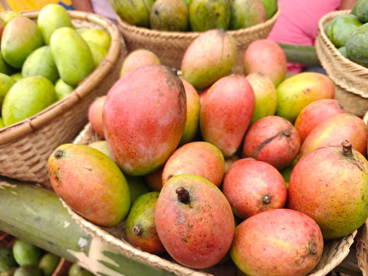 Arrival of Indian mangoes in Seattle reflects years of cooperation between India and US, says Consul General of India Prakash Gupta