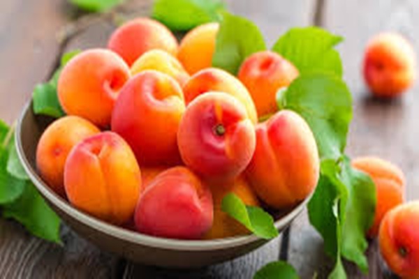 Kargil’s apricots make debut in Saudi Arabia, new chapter in India-Saudi trade relations