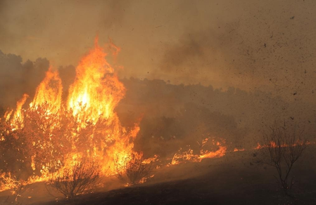 Japan: Firefighters in Oita still battling fire, Over 170 people evacuated