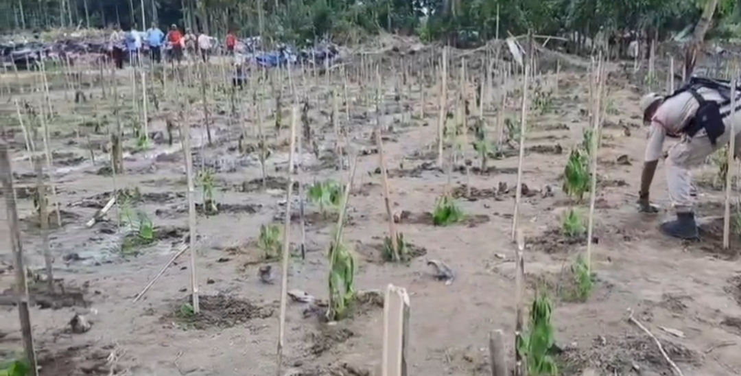 উৰিয়ামঘাটৰ দখলমুক্ত কৰা অঞ্চলসমূহত ২৩ ছেপ্টেম্বৰ পৰ্যন্ত বনবিভাগৰ গছপুলি ৰোপণ কাৰ্যসূচী