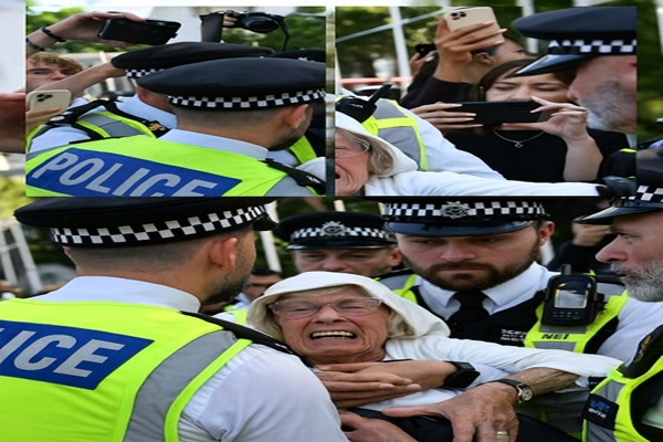 Over 400 Arrested in London Pro-Palestinian Protest as Israel Faces Mounting Opposition to Gaza Offensive