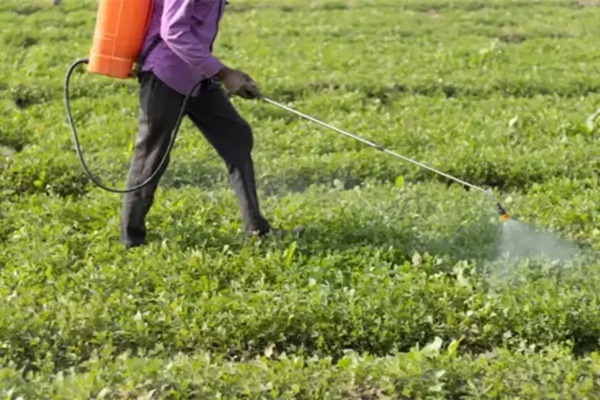 Domestic fertiliser production witnessed tremendous growth in last decade