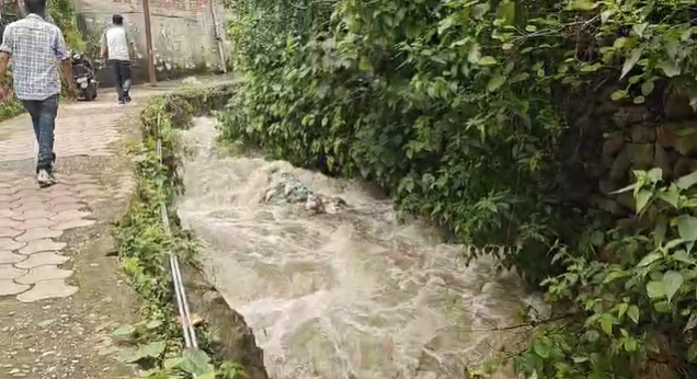 प्रदेश के विभिन्न जिलों में भारी बारिश का येलो अलर्ट