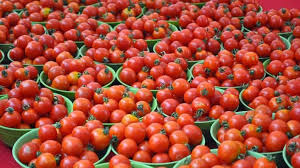 Tomato Price Surge Due to Local Factors, Not Supply Issue: Govt