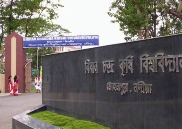 নদীয়ার মোহনপুরের বিধান চন্দ্র কৃষি বিশ্ববিদ্যালয়ে গতকাল “কৃষিতে স্থায়িত্ব, উৎপাদনশীলতা ও সবুজ বৃদ্ধি” শীর্ষক জাতীয় সম্মেলনের আয়োজন করা হয়।
