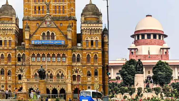 स्थानिक स्वराज्य संस्थांच्या निवडणुका ३१ जानेवारीपर्यंत घेण्याचे सर्वोच्च न्यायालयाचे निर्देश