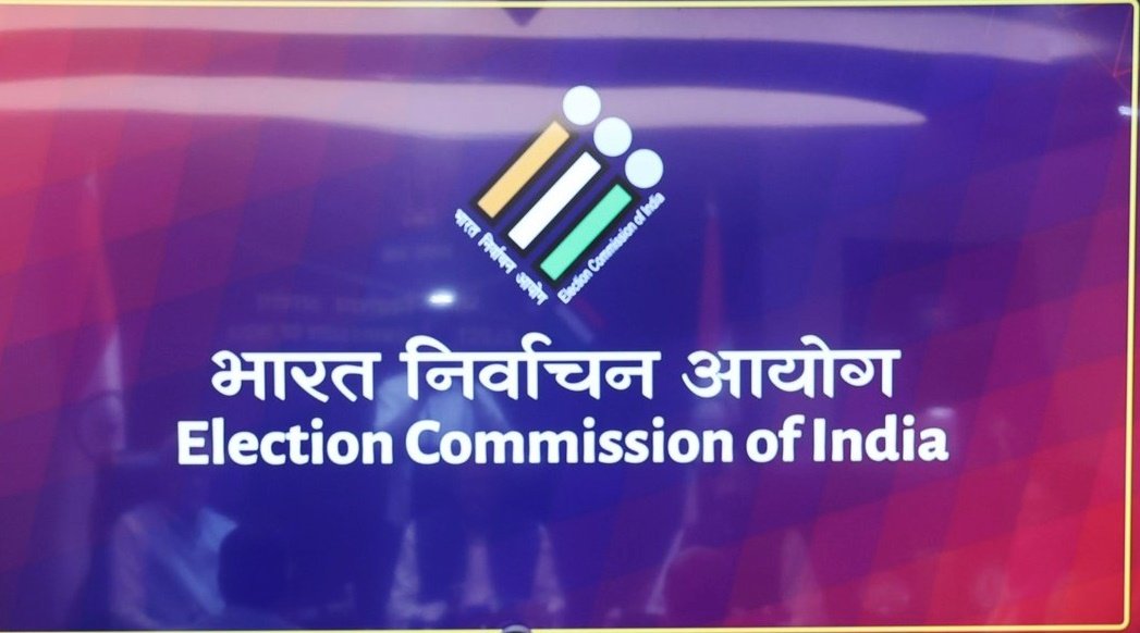 No deletion of any vote can be done online by any member of the public:ECI