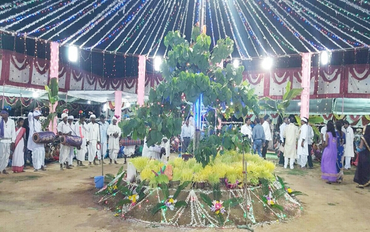 झारखंड में आज प्रकृति पर्व करमा मनाया जा रहा है