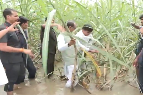 পঞ্জাৱৰ অমৃতসৰ আৰু গুদাসপুৰ জিলাৰ বানপ্ৰৱন অঞ্চল পৰিদৰ্শন শিৱৰাজ সিং চৌহানৰ