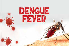 Bangladesh Faces Severe Dengue Outbreak with Over 156 Deaths and Rising Cases