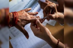 BJP wins 6 seats, Samajwadi Party secures 5 in UP MLC elections