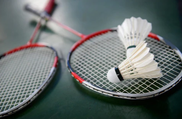 Badminton: Satwik-Chirag Reach Denmark Open Semis; Lakshya Sen Exits