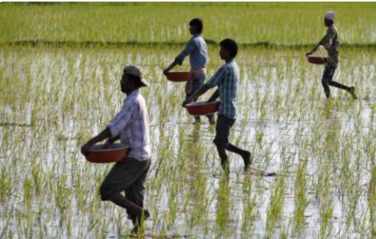 Maharashtra Sanctions ₹3,258 Crore Relief for 33 Lakh Rain-Hit Farmers