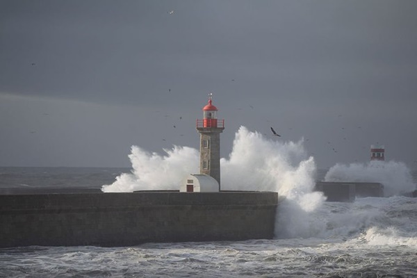 Storm Claudia Kills 3, Injures Dozens in Portugal
