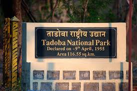 ताडोबा व्याघ्र प्रकल्प परिसरातल्या ८०० एकर जागेचं पर्यावरणीय पुनरूज्जीवन लवकरच होणार