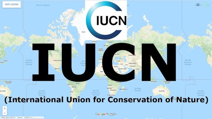 Khangchendzonga National Park Rated “Good” By IUCN, Only Indian Site With Positive Status