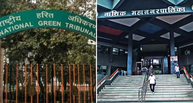 तपोवनातलं एकही झाड न तोडण्याचे हरित लवादाचे नाशिक महापालिकेला आदेश