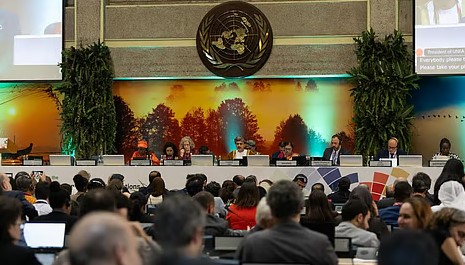UNEA Adopts India’s Resolution on Global Wildfire Management