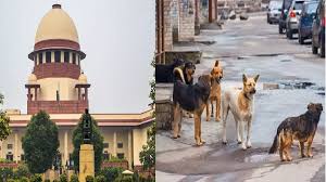 आवारा कुत्तों के मामले में सर्वोच्‍च न्‍यायालय ने मेनका गांधी के बयान पर जताई नाराजगी