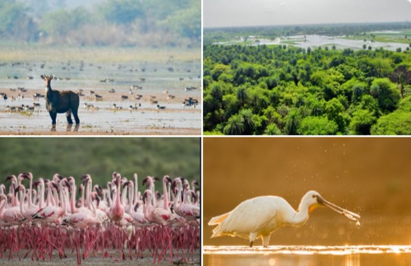Environment Minister Bhupender Yadav announces addition of two new wetlands to India’s Ramsar network