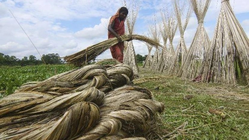 सरकार ने किया जूट मिलों के लिए कच्चे जूट की भण्‍डारण सीमा बढ़ाने का फैसला