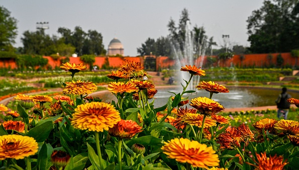 Amrit Udyan to be opened for public from 3rd Feb till 31st March