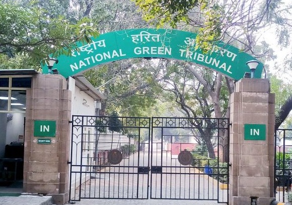 राष्ट्रीय हरित अधिकरण ने ग्रेट निकोबार द्वीप समूह में प्रस्तावित अंतर्राष्ट्रीय कंटेनर ट्रांसशिपमेंट टर्मिनल को मंजूरी दी