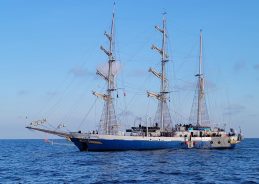 INS Sudarshini Reaches Portugal’s Azores During Lokayan 2026 Voyage INS Sudarshini Reaches Portugal’s Azores During Lokayan 2026 Voyage